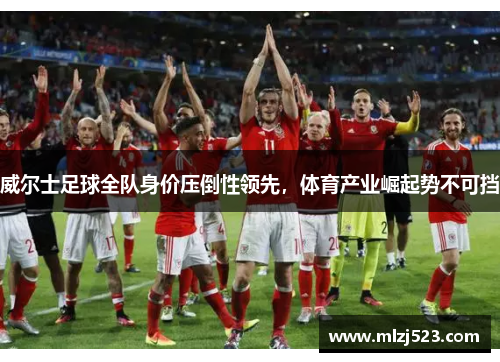 威尔士足球全队身价压倒性领先，体育产业崛起势不可挡